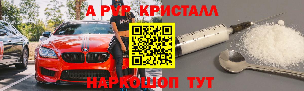 Альфа ПВП СК КРИС Сокол