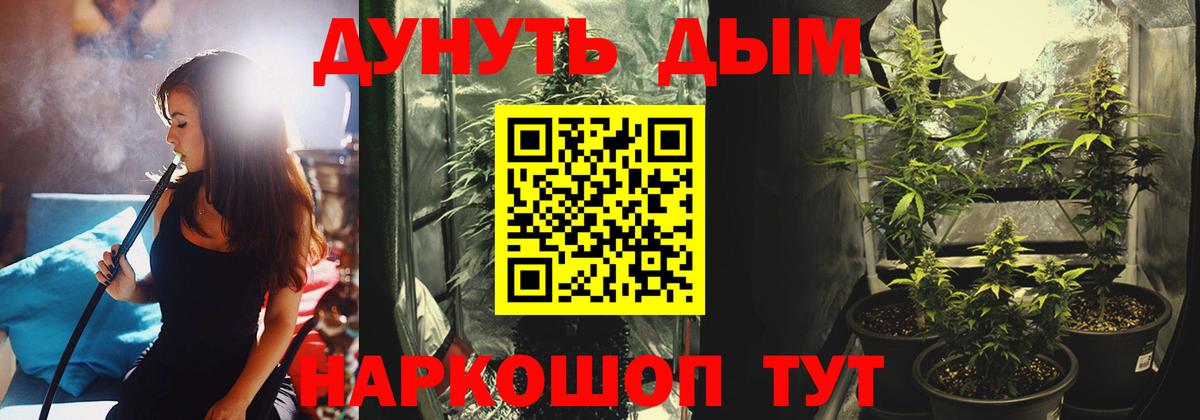 Шишки марихуана ГИДРОПОН Сокол